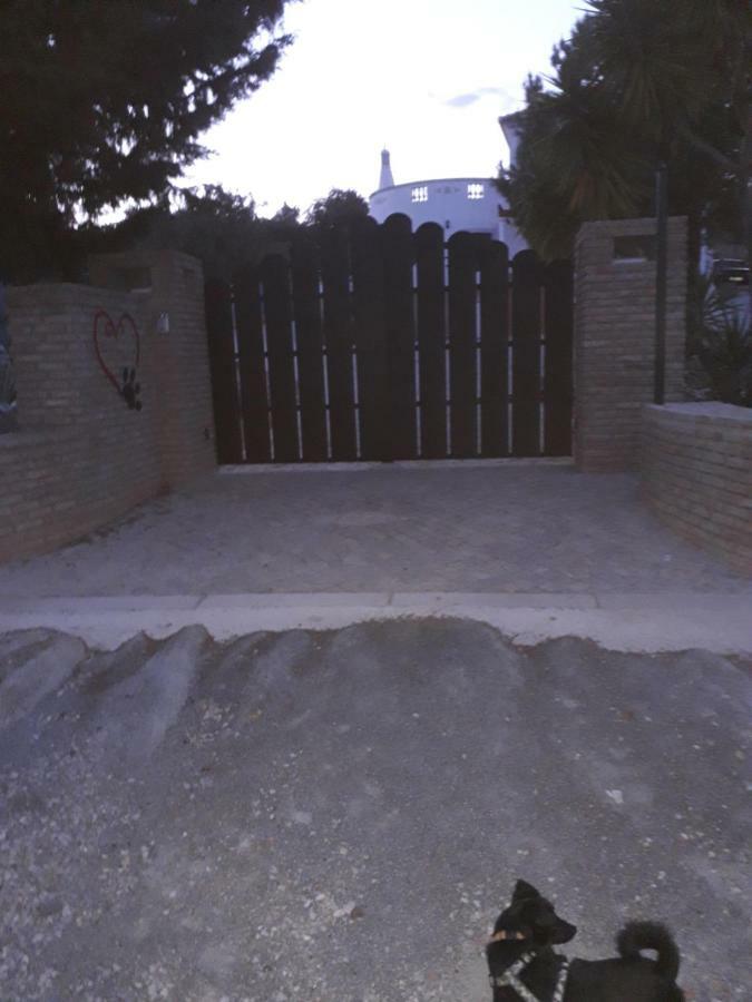 Alojamento Local Patudos, Suite Com Terraco Privado Ταβίρα Εξωτερικό φωτογραφία